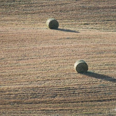 Soleluna San Quirico dʼOrcia المظهر الخارجي الصورة