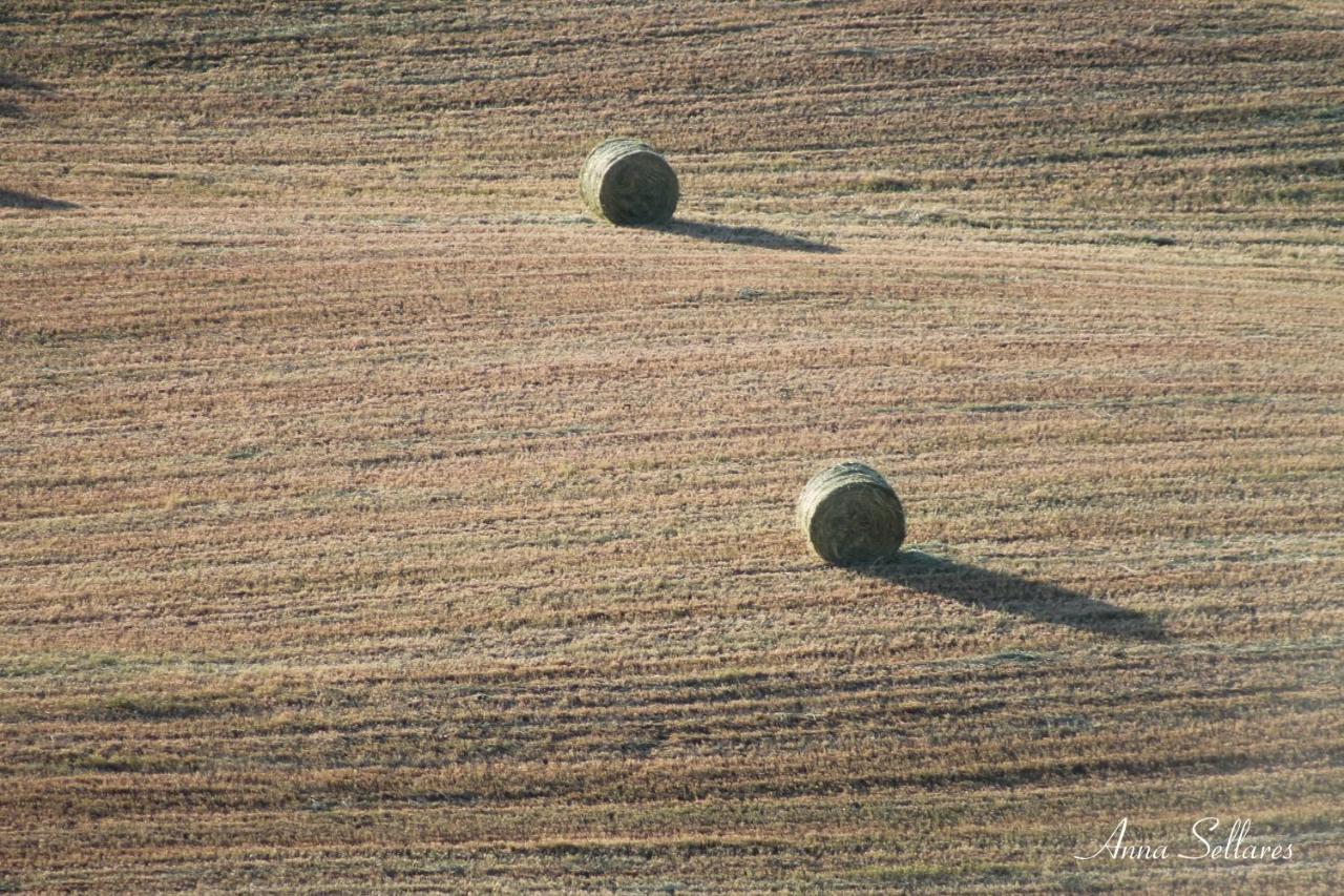 Soleluna San Quirico dʼOrcia المظهر الخارجي الصورة