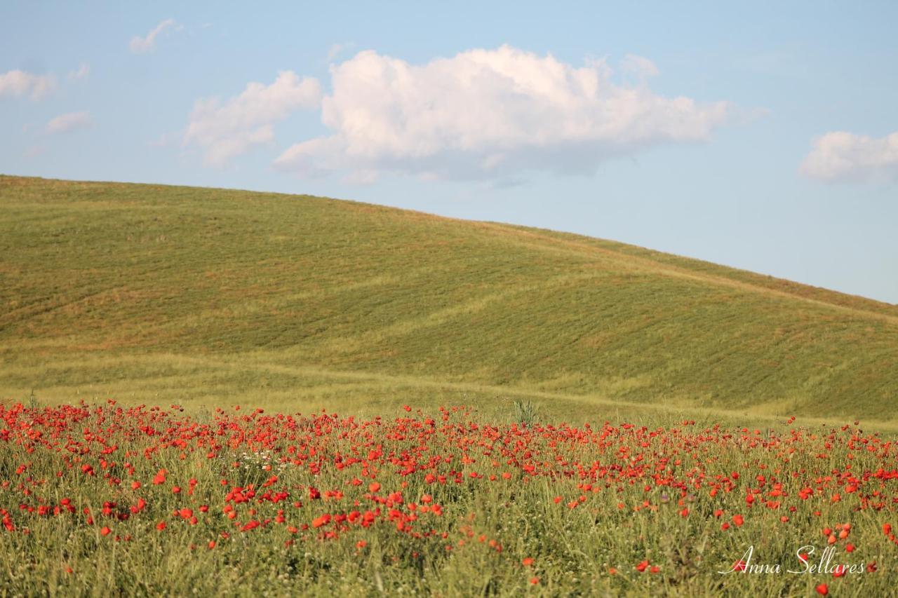 Soleluna San Quirico dʼOrcia المظهر الخارجي الصورة